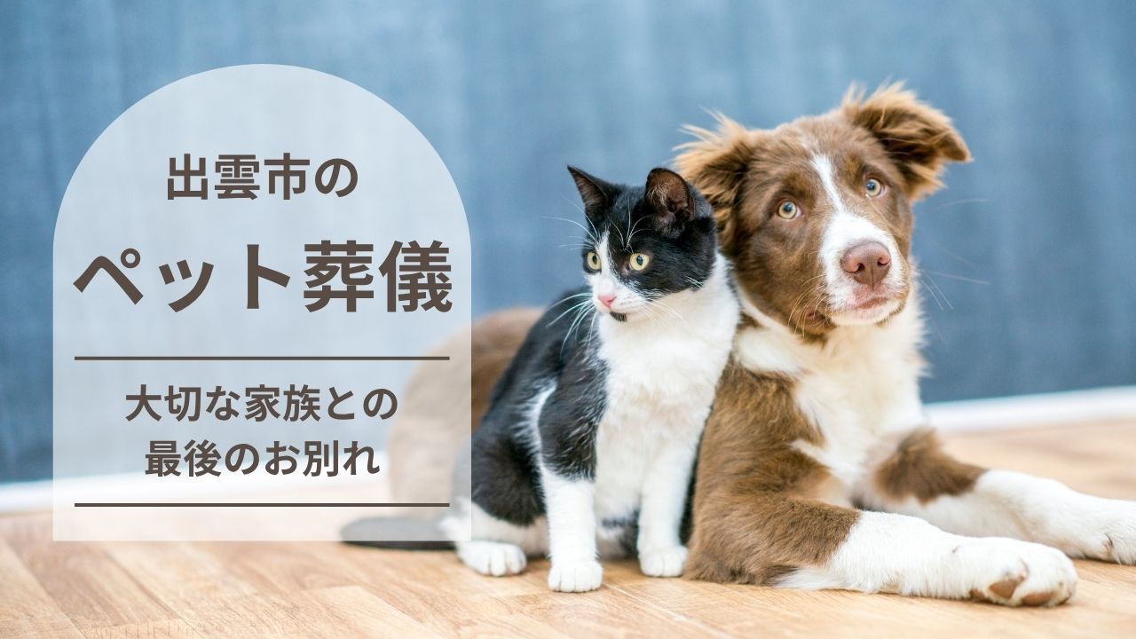 【初めてでも安心】出雲市で選ばれるペット葬儀・火葬業者5選