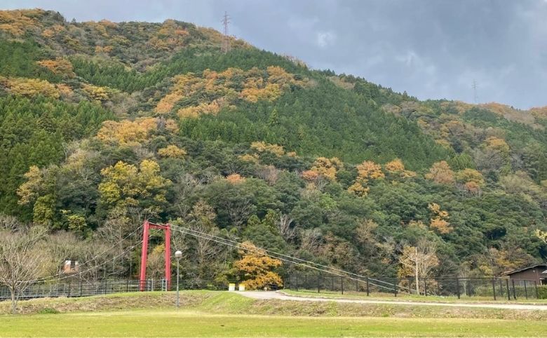 キャンプ場