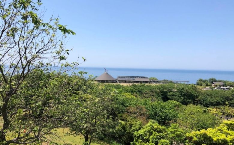 ピクニックスポット