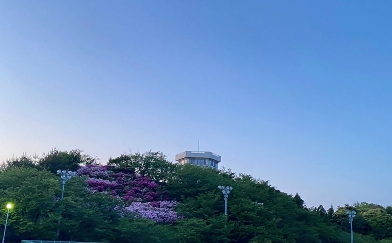 公園