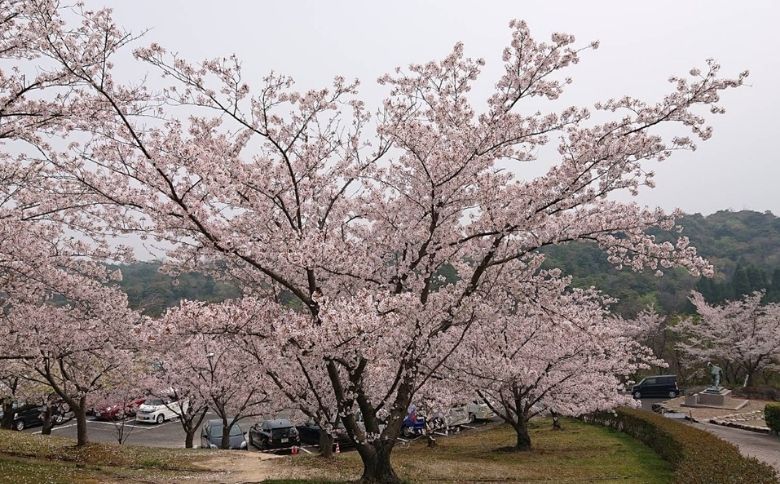 公園